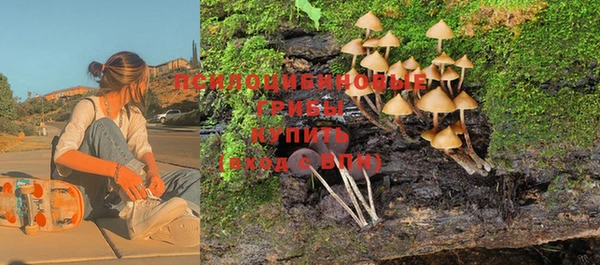 героин Пестово