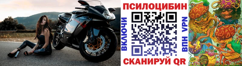 наркота  Баймак  Галлюциногенные грибы Cubensis 